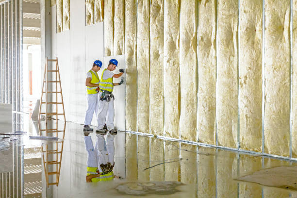 Best Commercial Insulation in South Beach, FL